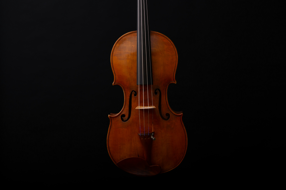 violin image