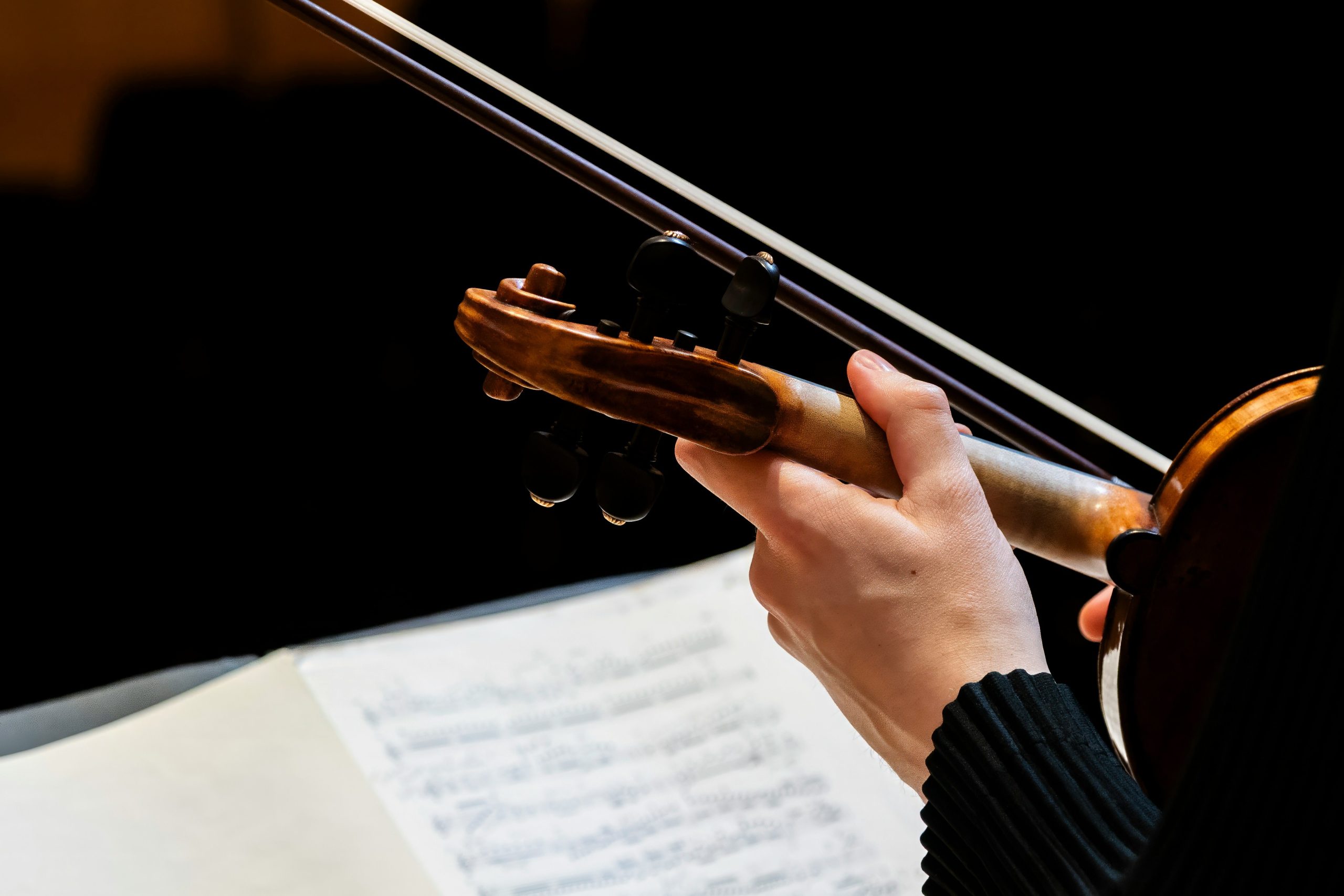 Shot of a persons hands from the back while they're holding a violin in rest position while looking at music
