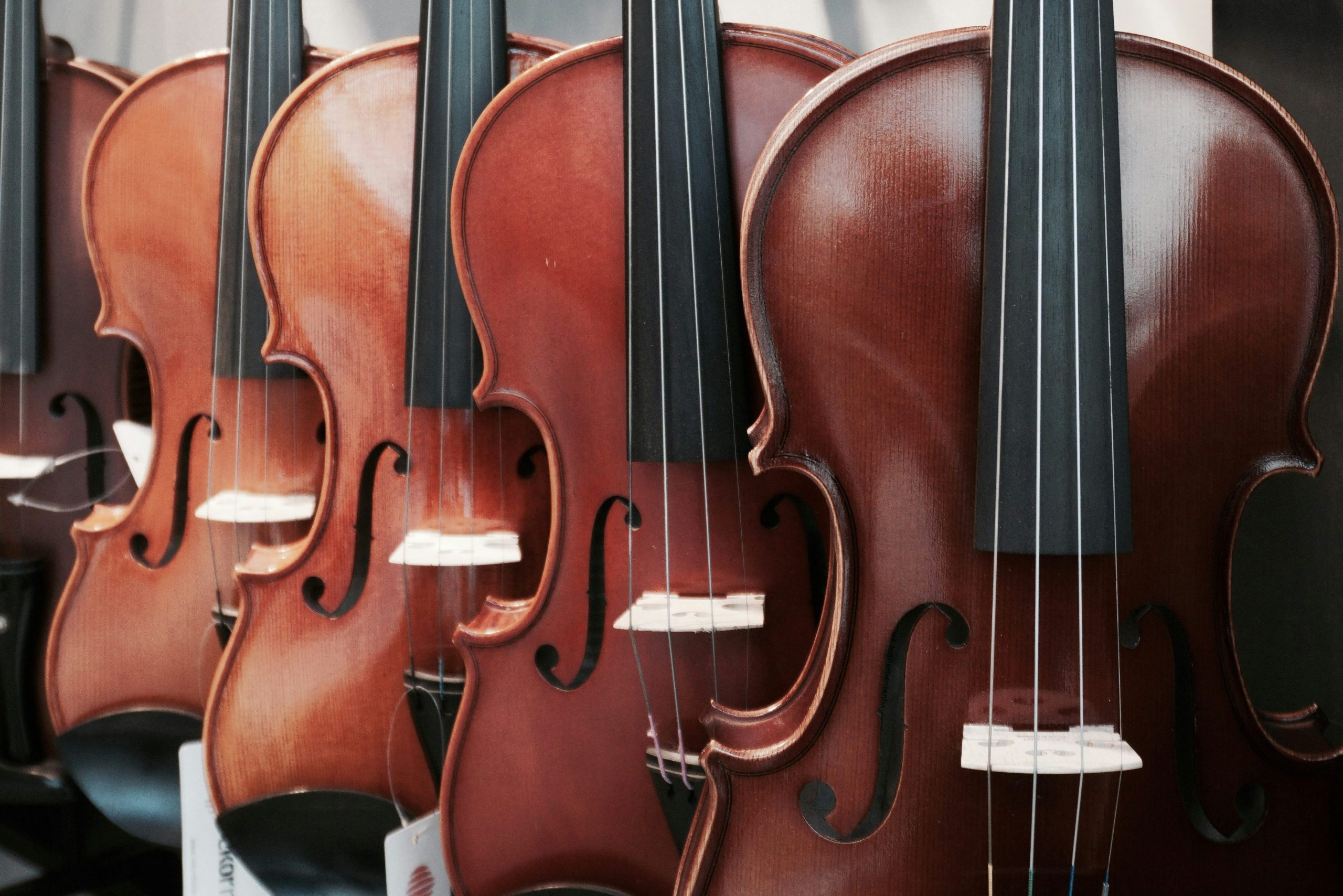 violins
