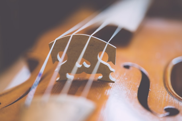 close up violin bridge and strings