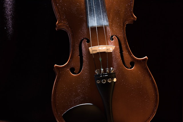 Bottom half of violin, with the bridge, fine tuners, and tailpiece